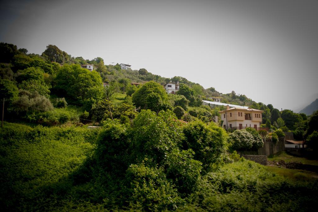 Eleni Studios Agios Ioannis  エクステリア 写真